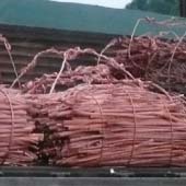 Bright and Shiny wire